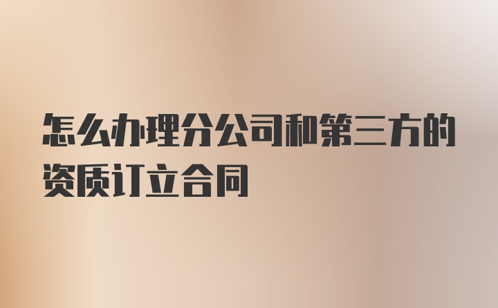 怎么办理分公司和第三方的资质订立合同