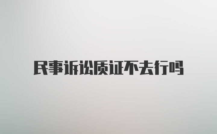 民事诉讼质证不去行吗