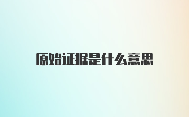 原始证据是什么意思