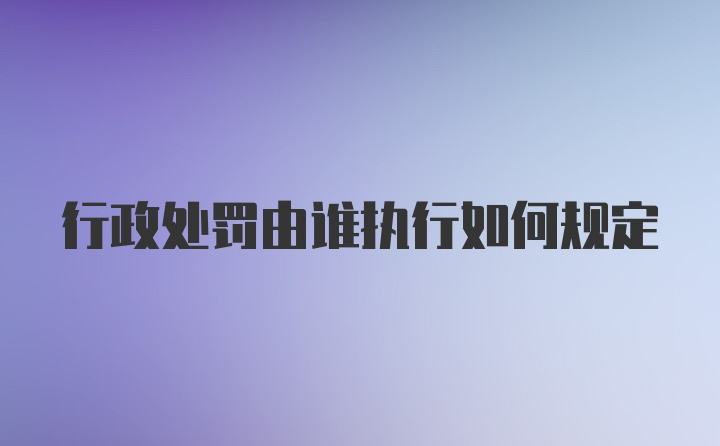 行政处罚由谁执行如何规定