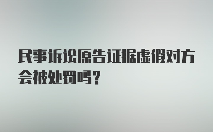 民事诉讼原告证据虚假对方会被处罚吗？