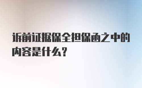 诉前证据保全担保函之中的内容是什么？