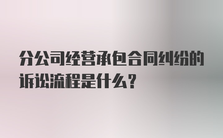 分公司经营承包合同纠纷的诉讼流程是什么？