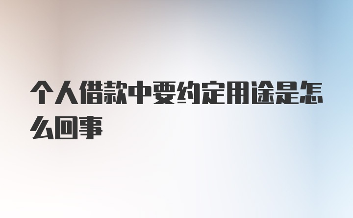 个人借款中要约定用途是怎么回事