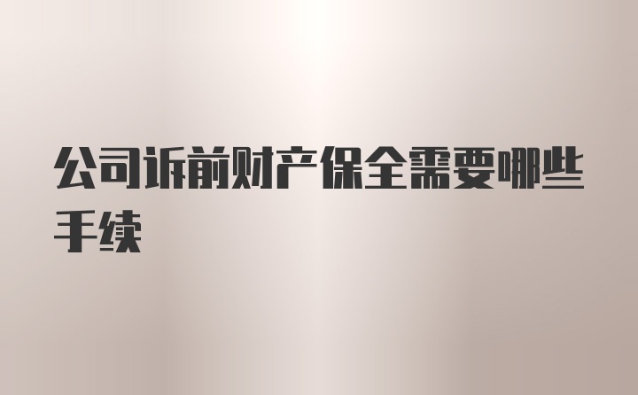 公司诉前财产保全需要哪些手续