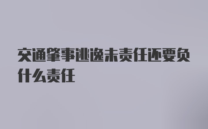 交通肇事逃逸未责任还要负什么责任