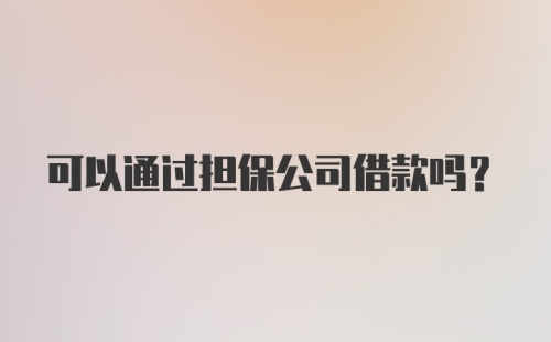 可以通过担保公司借款吗？