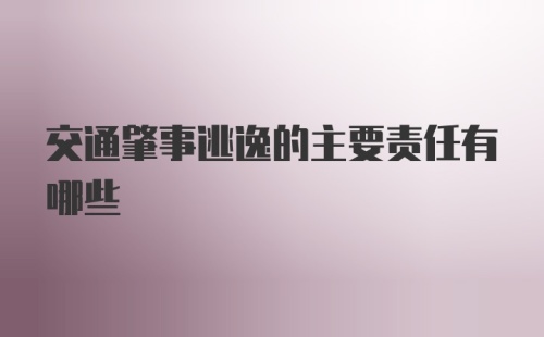 交通肇事逃逸的主要责任有哪些