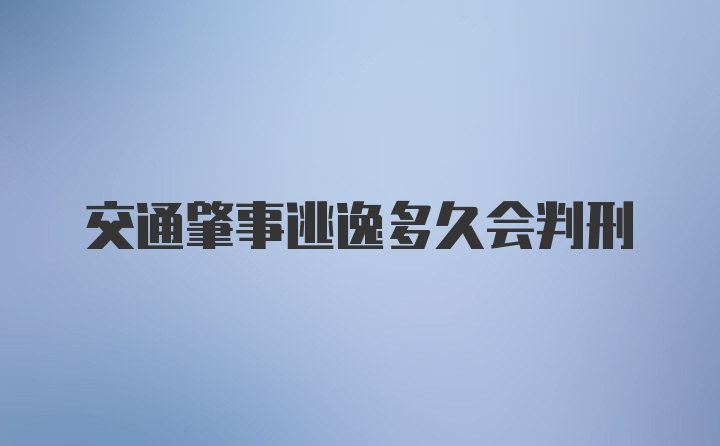 交通肇事逃逸多久会判刑