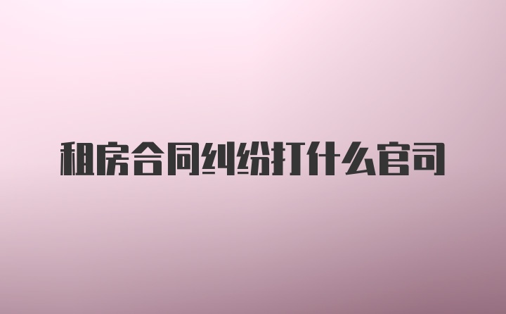 租房合同纠纷打什么官司