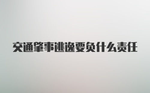 交通肇事逃逸要负什么责任