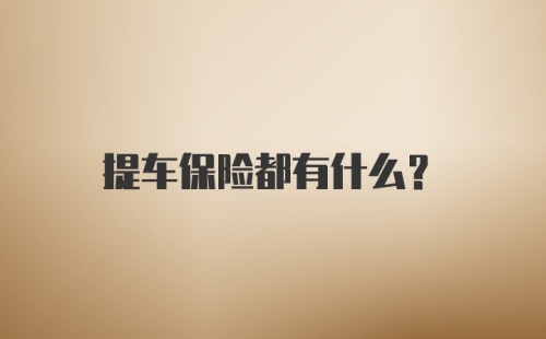 提车保险都有什么？