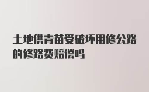 土地供青苗受破坏用修公路的修路费赔偿吗