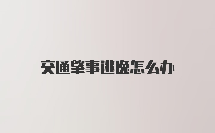 交通肇事逃逸怎么办