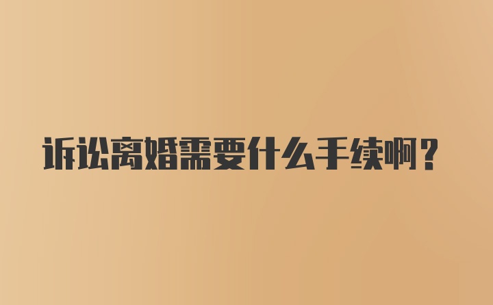 诉讼离婚需要什么手续啊？