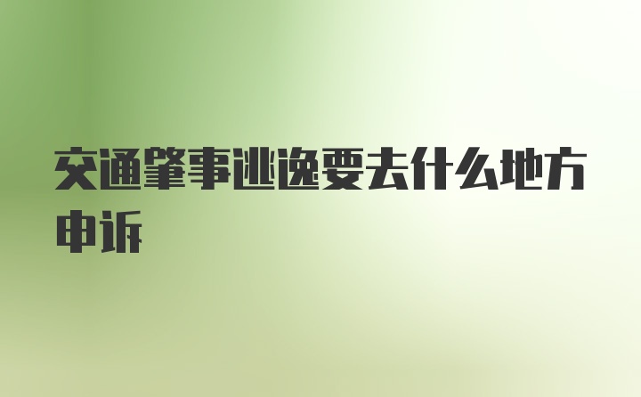 交通肇事逃逸要去什么地方申诉