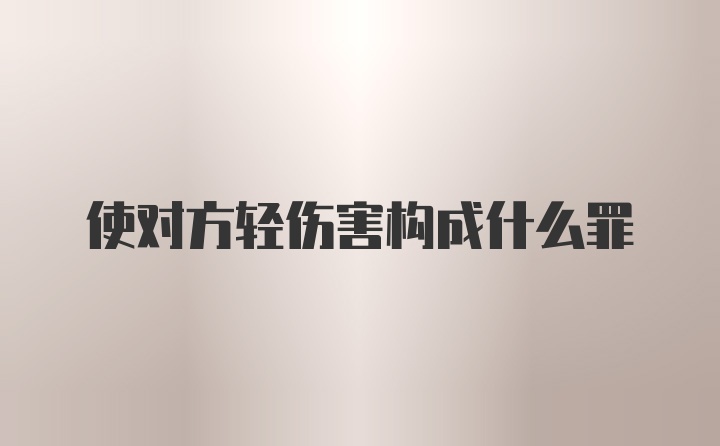 使对方轻伤害构成什么罪