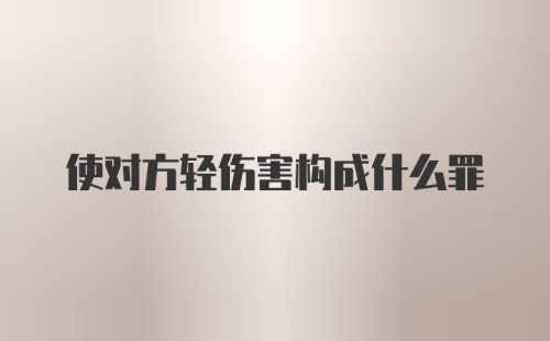 使对方轻伤害构成什么罪