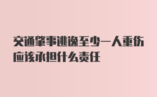 交通肇事逃逸至少一人重伤应该承担什么责任