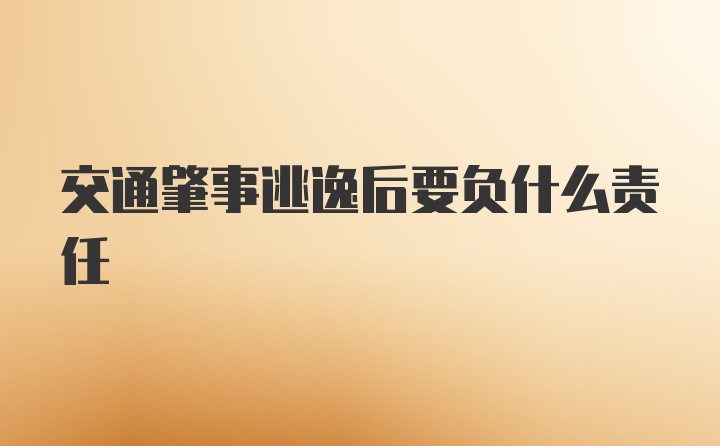 交通肇事逃逸后要负什么责任