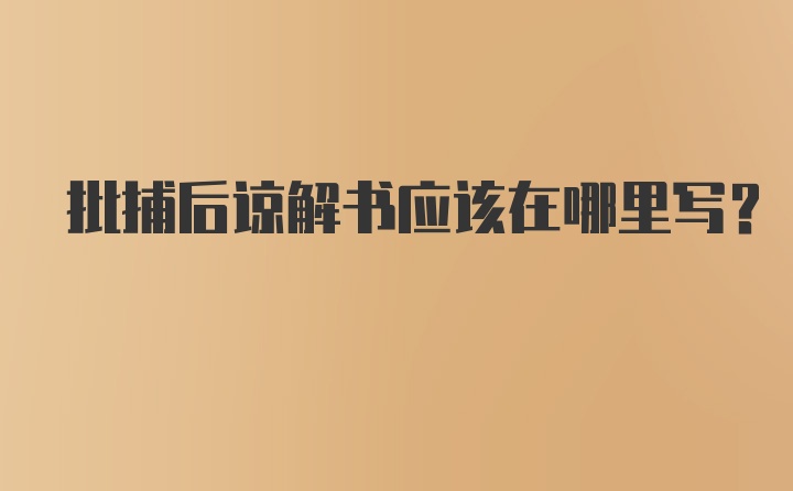 批捕后谅解书应该在哪里写?