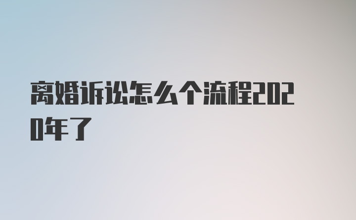 离婚诉讼怎么个流程2020年了