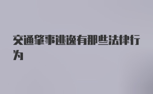 交通肇事逃逸有那些法律行为