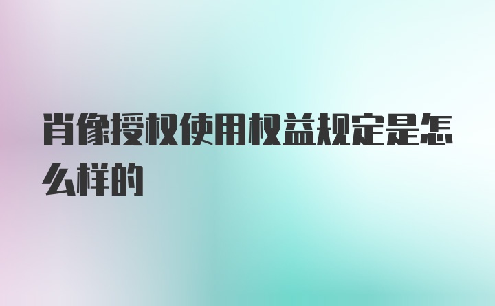 肖像授权使用权益规定是怎么样的