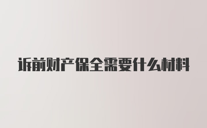 诉前财产保全需要什么材料