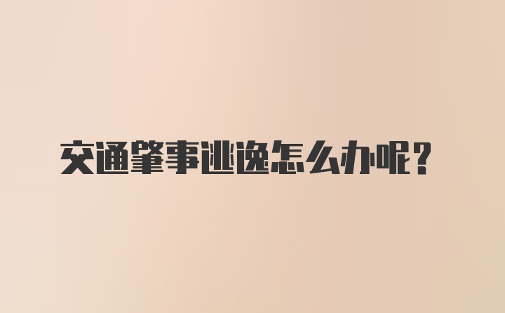 交通肇事逃逸怎么办呢？