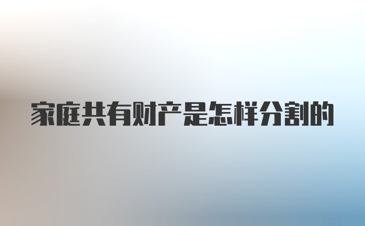 家庭共有财产是怎样分割的