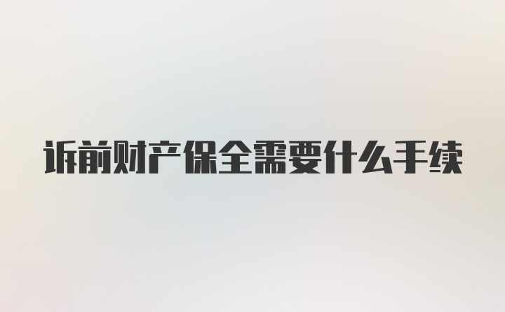 诉前财产保全需要什么手续