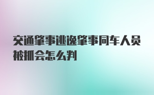 交通肇事逃逸肇事同车人员被抓会怎么判