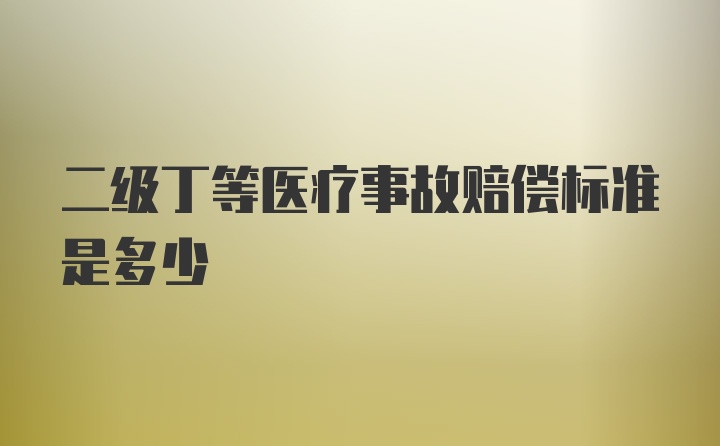 二级丁等医疗事故赔偿标准是多少