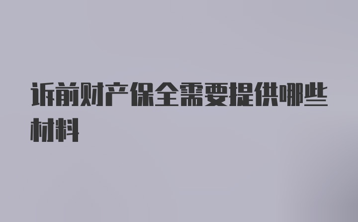 诉前财产保全需要提供哪些材料