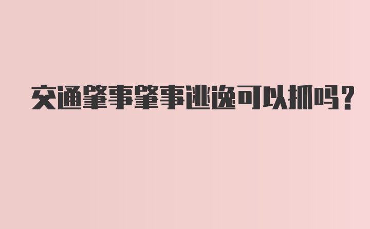 交通肇事肇事逃逸可以抓吗？