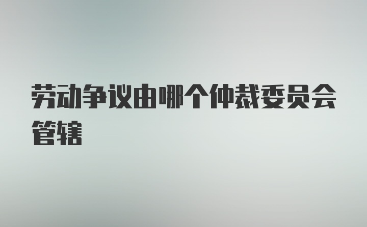 劳动争议由哪个仲裁委员会管辖