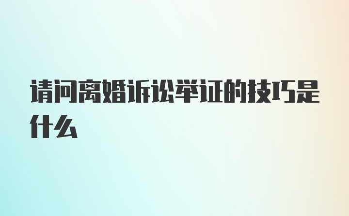 请问离婚诉讼举证的技巧是什么