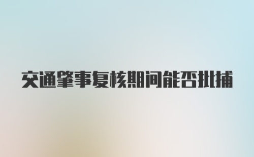 交通肇事复核期间能否批捕