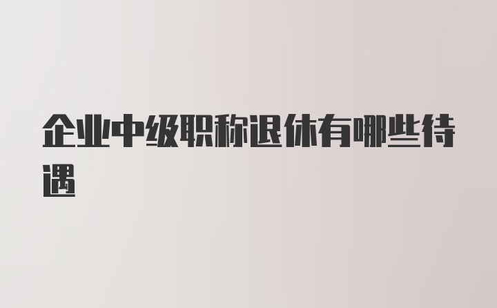 企业中级职称退休有哪些待遇