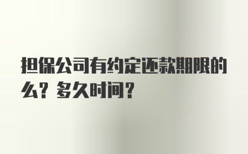 担保公司有约定还款期限的么？多久时间？