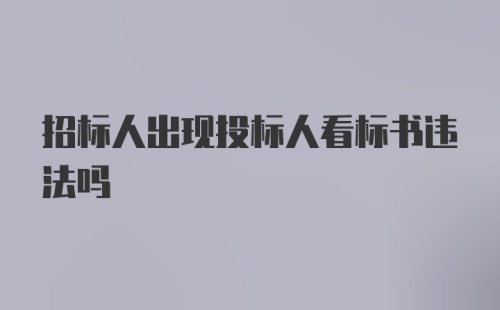 招标人出现投标人看标书违法吗