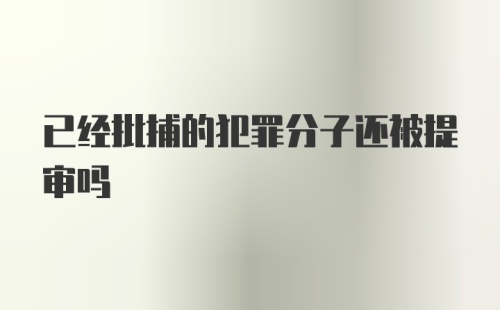 已经批捕的犯罪分子还被提审吗