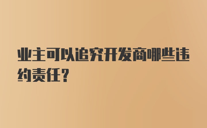 业主可以追究开发商哪些违约责任?