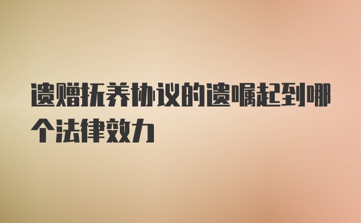 遗赠抚养协议的遗嘱起到哪个法律效力