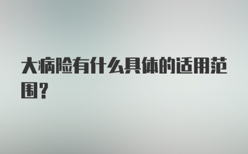 大病险有什么具体的适用范围？