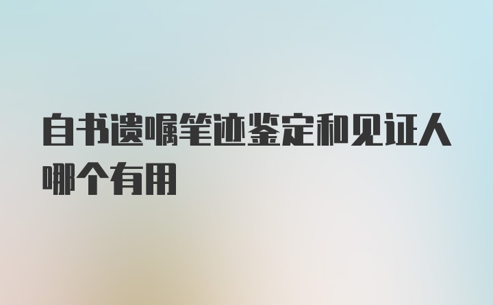 自书遗嘱笔迹鉴定和见证人哪个有用