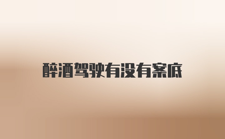 醉酒驾驶有没有案底