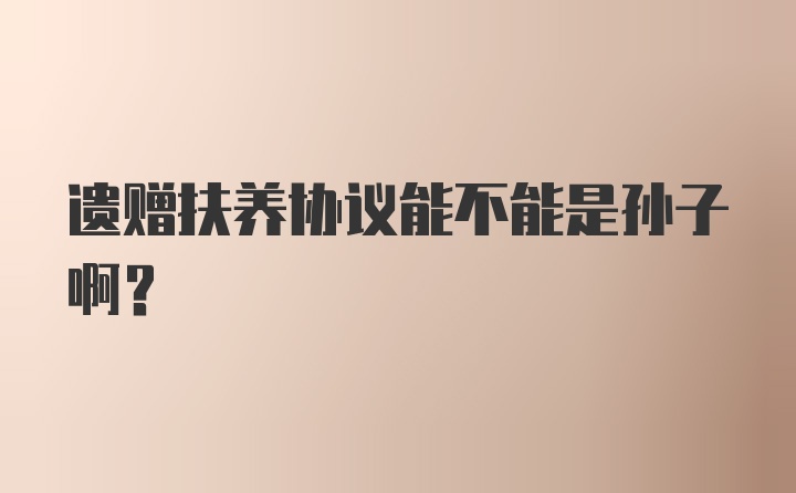 遗赠扶养协议能不能是孙子啊？