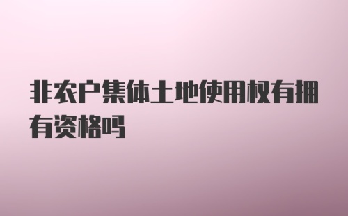 非农户集体土地使用权有拥有资格吗